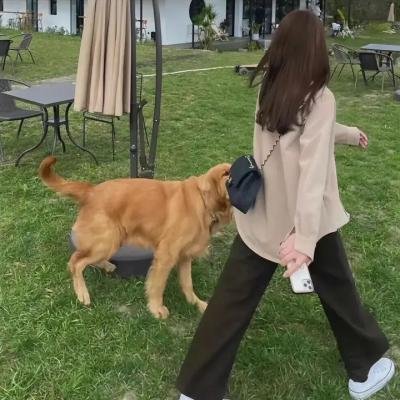 奇幻森林之兽语小子